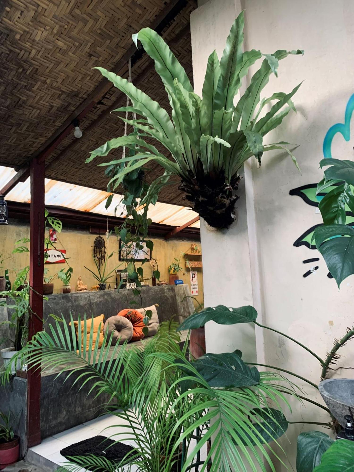 Diwas Stay Yogyakarta Exterior photo